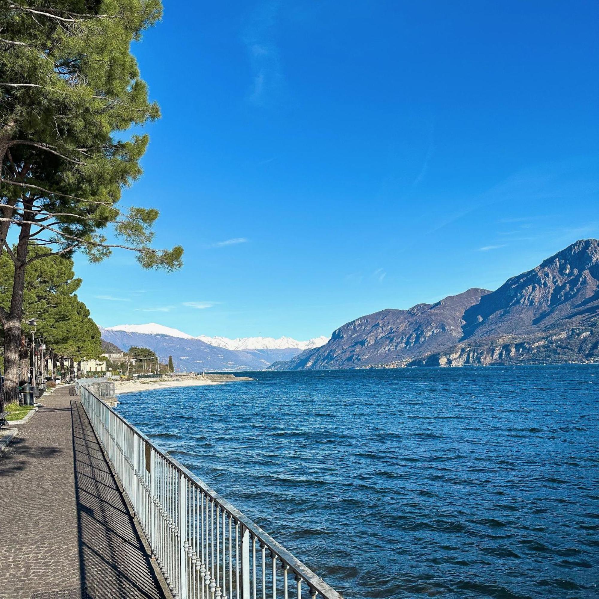 Renzo E Lucia Lake View Apartment Oliveto Lario Exterior photo